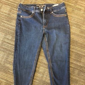 Melissa McCarthy Seven7 jeans